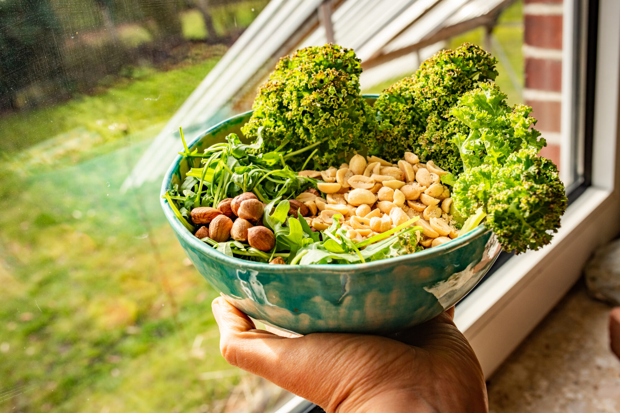GRÜNKOHL-NUSS-PESTO Zutaten in einer Bowl