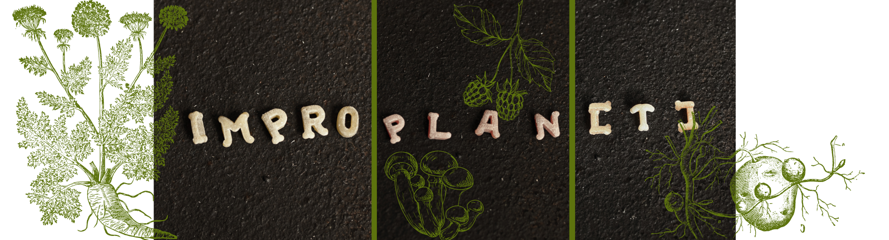 improplant universaler Header