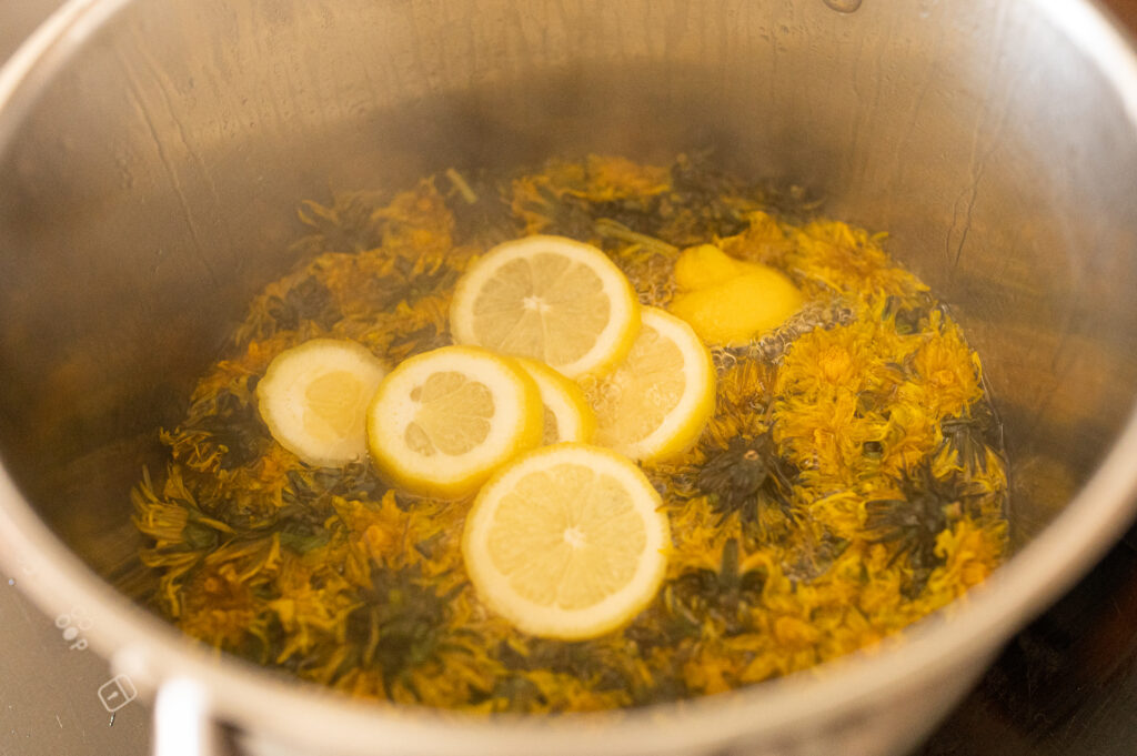 LÖWENZAHNHONIG kochen