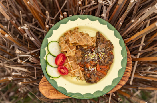 HERZHAFTE WAFFELN MIT PILZ STROGANOFF fertiger Teller