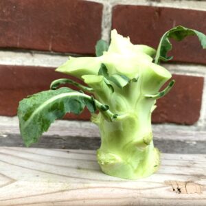 Brokkolistrunk Rückblick Foodblog