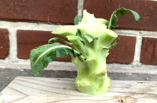 Brokkolistrunk Rückblick Foodblog